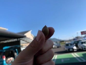 みーつけた！